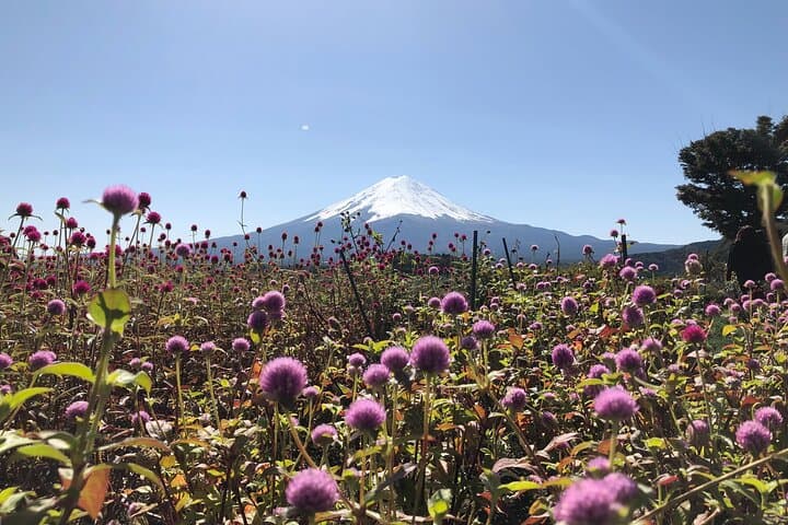 From Tokyo: Mount Fuji, Cruise and Sake Tasting Tour — photo 2
