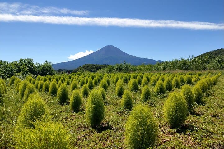From Tokyo: Mount Fuji, Cruise and Sake Tasting Tour — photo 3