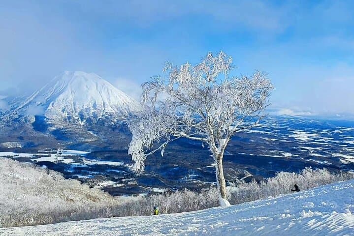 Sapporo ⇔ New Chitose Airport Private Transfer | Licensed Driver — photo 13
