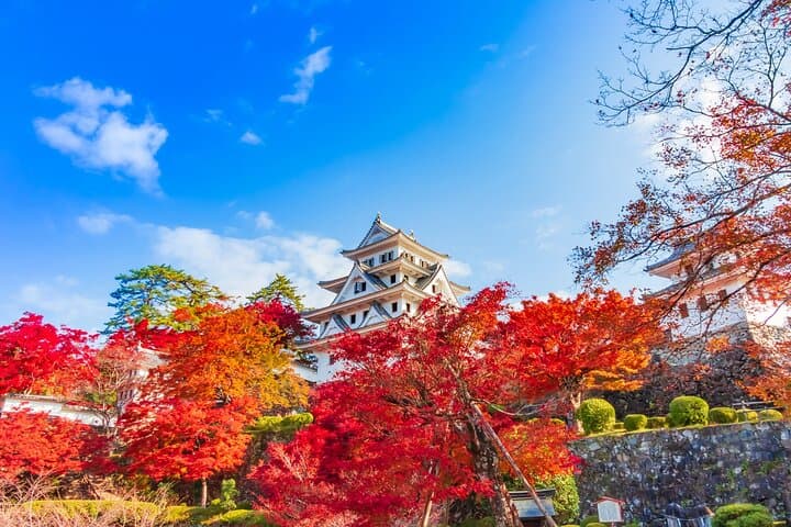 Gujo, Hida Takayama, and Shirakawa-go Day Tour from Nagoya — photo 20