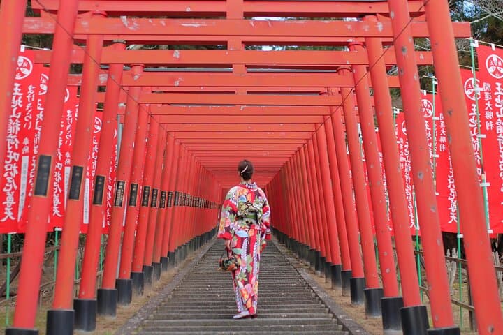 Strawberry Picking and Exploring Beautiful City of Tamba Sasayama — photo 4