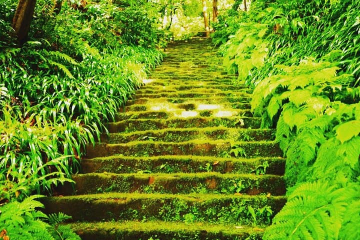 Kamakura Spiritual & History Private Tour: Zen Energy & Shrines — photo 7