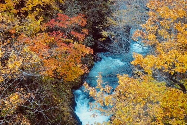 Private 1 Day Hokkaido Tour from Sapporo Customizable Itinerary — photo 3