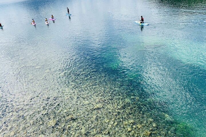 From Sapporo Private Tour : Lake Toya, Bear Ranch & Noboribetsu — photo 9