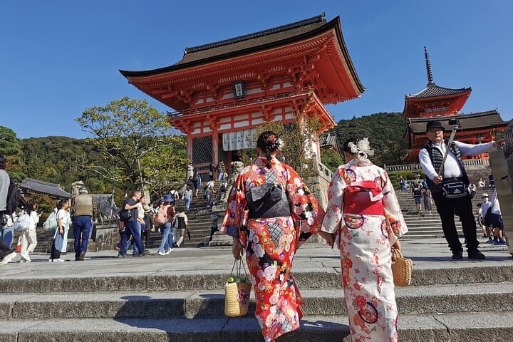 Customized 7-Day Best Japan Tour from Tokyo, Private Guide — photo 6