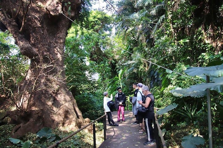 Private tour: Afternoon cycling with Spectacular Views — photo 10