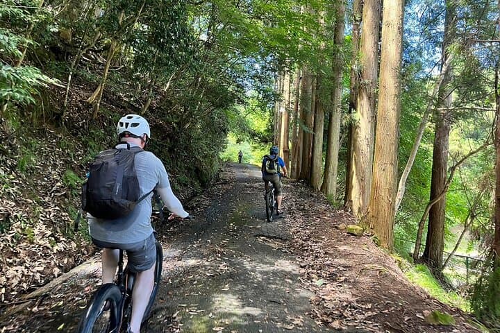 Amanohashidate Sand bar & culture e-bike tour — photo 4