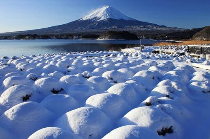 One day mountain Fuji & Hakone tour with English hindi bilingual — photo 14