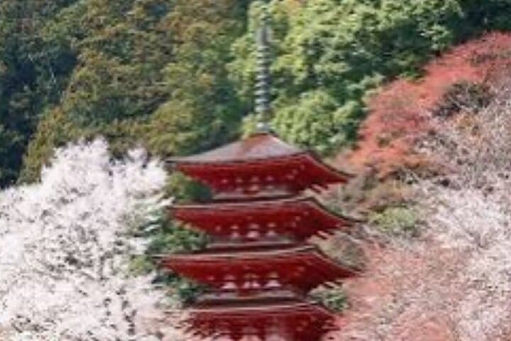 One day fully customize the tour for kamakura and Yokohama — photo 7