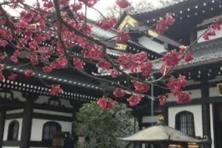 One day fully customize the tour for kamakura and Yokohama — photo 9