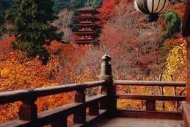 One day fully customize the tour for kamakura and Yokohama — photo 10