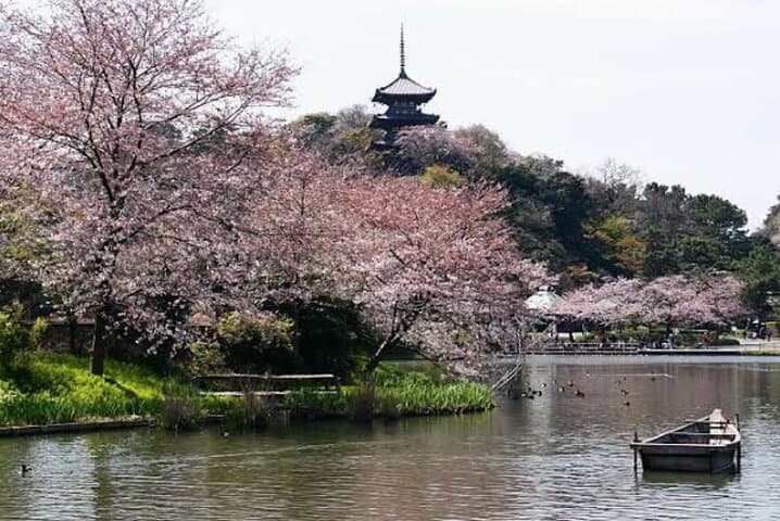 One day fully customize the tour for kamakura and Yokohama — photo 19