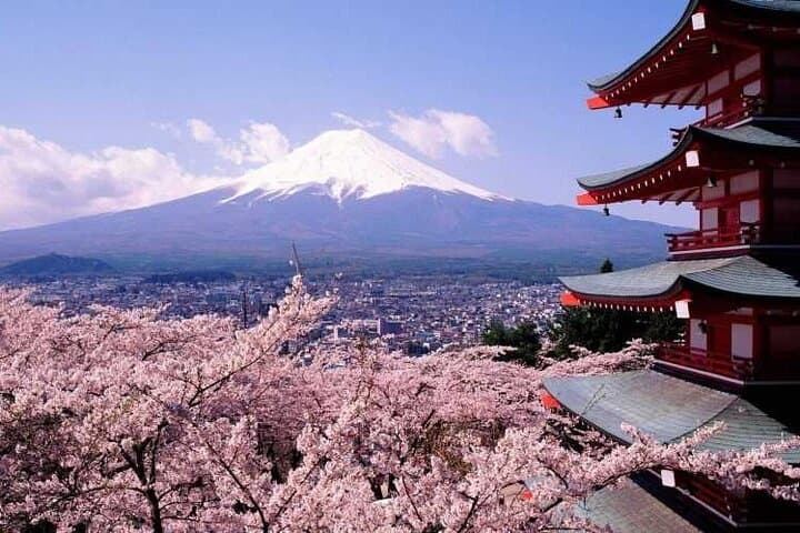 One day tour to Mount Fuji's popular attractions — photo 2