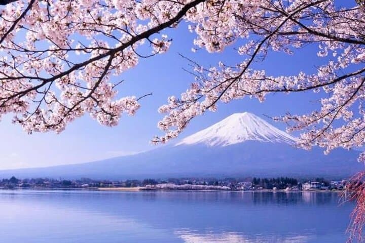 One day tour to Mount Fuji's popular attractions — photo 1