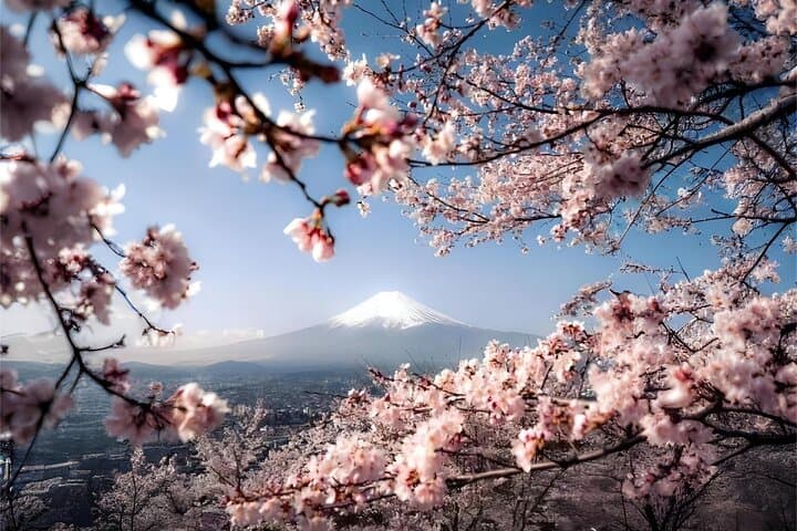 One day tour to Mount Fuji's popular attractions — photo 4