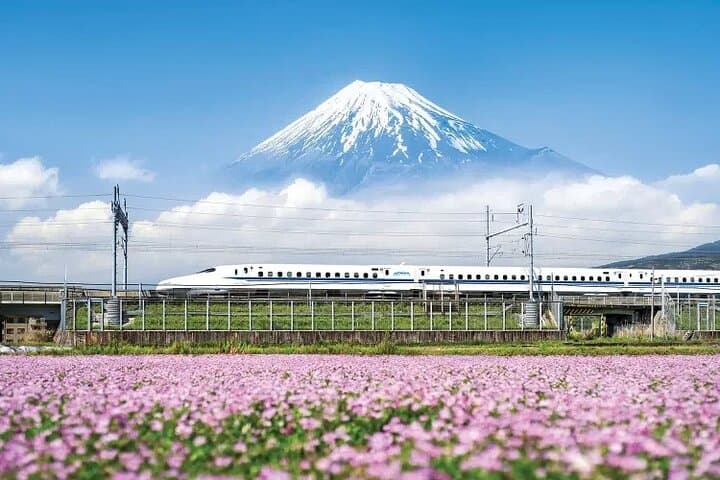 One day tour to Mount Fuji's popular attractions — photo 7