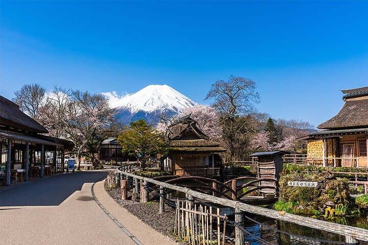 Mt. Fuji Views and Kawaguchiko Scenic Day Tour From Tokyo — photo 4