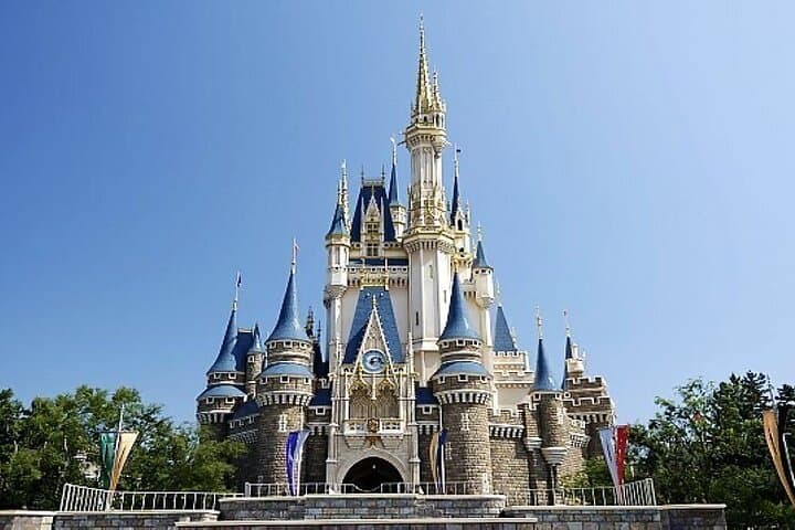 Tokyo Disney Resort Park E-Tickets with Options — photo 6