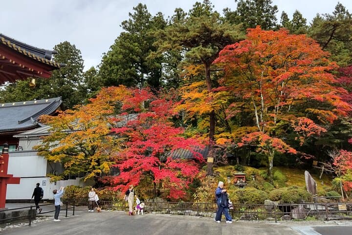 Amazing Nikko World Heritage and Breathtaking Nature in a day! — photo 5