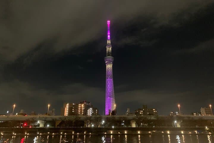 5-Hour Tokyo Private Layover Tour from Haneda Airport — photo 3