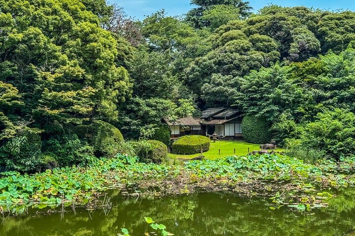 Tokyo National Museum & Ueno Park Private guided tour — photo 4