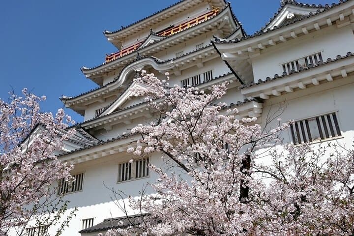 Hiroshima Luxurious Private Tour with English Guide — photo 4