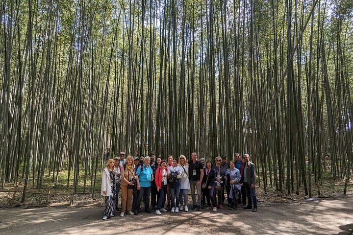 Private Walking Tour in the Arashiyama Bamboo Forest with Guide — photo 5