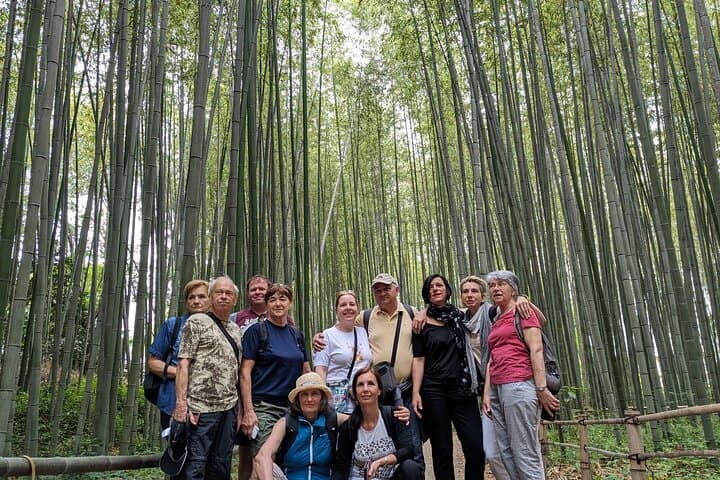Private Walking Tour in the Arashiyama Bamboo Forest with Guide — photo 7