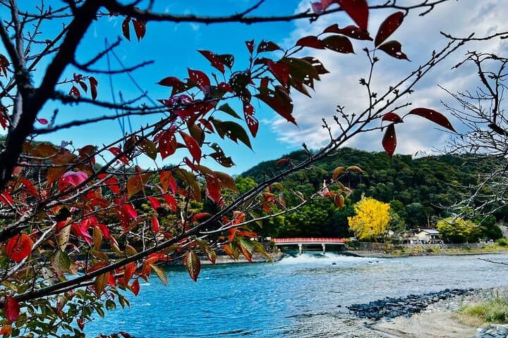 Kyoto Private Hightlights Customizable Tour&English Driver Guide — photo 19