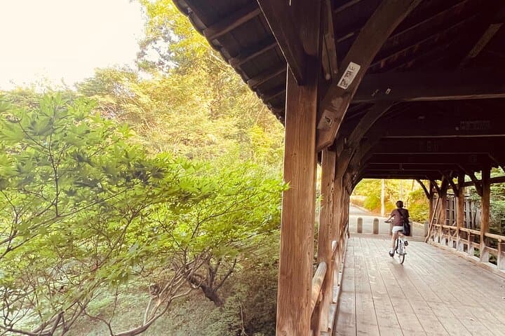Pedal Adventure Kyoto's iconic landmarks on an e-bike tour — photo 18