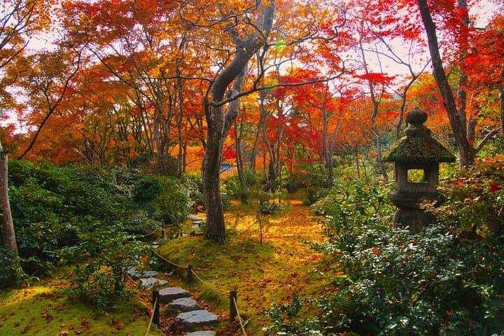 Kyoto Arashiyama: Fall Foliage Walking Tour【Autumn's limited】 — photo 5
