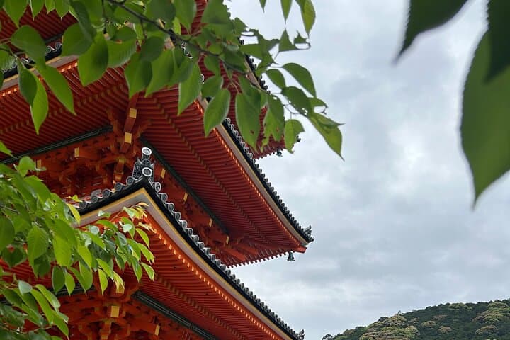 Kyoto Guided Day Tour with Free Admission — photo 6