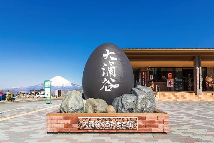 Tokyo: Mt. Fuji Hakone tour, Cable car&Optional Lake Ashi Cruise — photo 3