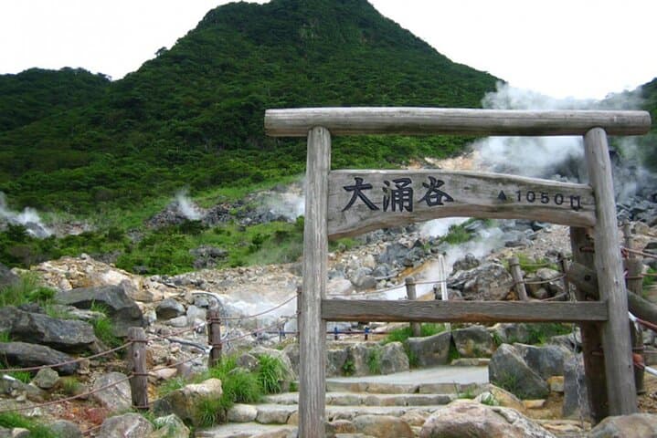 Tokyo: Mt. Fuji Hakone tour, Cable car&Optional Lake Ashi Cruise — photo 10