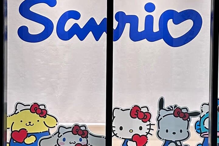 Family-Friendly Customizable Tokyo Tour with a Licenced Guide — photo 18