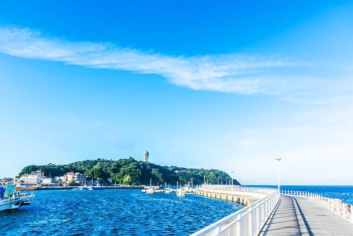 From Tokyo Kamakura, Hachimangu Shrine and Enoshima Full Day Tour — photo 11