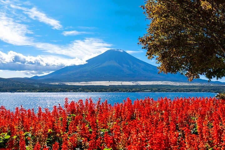 Full Day Tour at Mt. Fuji, Onsen, Lake Kawaguchi and Yamanaka — photo 11