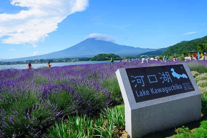 Full Day Tour at Mt. Fuji, Onsen, Lake Kawaguchi and Yamanaka — photo 9