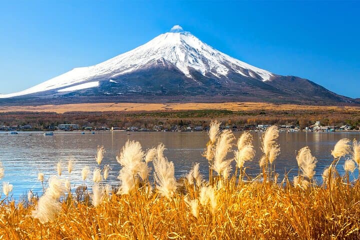 Full Day Tour at Mt. Fuji, Onsen, Lake Kawaguchi and Yamanaka — photo 6