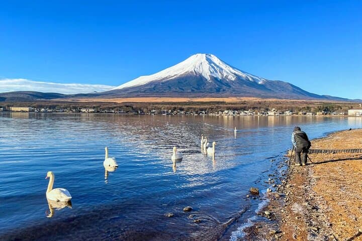 Full Day Tour at Mt. Fuji, Onsen, Lake Kawaguchi and Yamanaka — photo 7