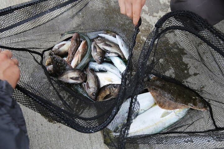 Sanriku Geopark Fishing Industry Field Trip — photo 6