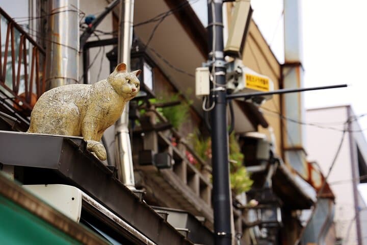 Tokyo: Yanaka Historic Streets Guided Tour & Asakura Museum Visit — photo 4