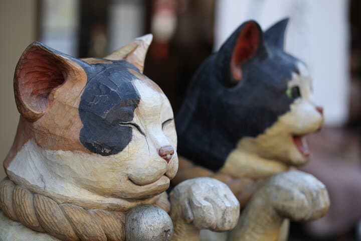 Tokyo: Yanaka Historic Streets Guided Tour & Asakura Museum Visit — photo 2