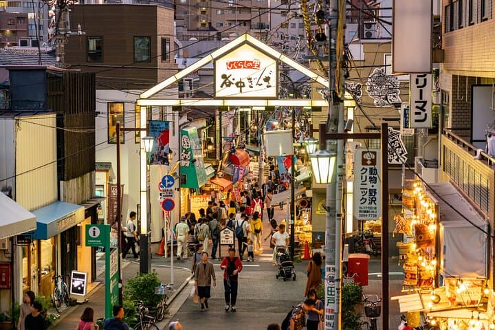Tokyo: Yanaka Historic Streets Guided Tour & Asakura Museum Visit — photo 16