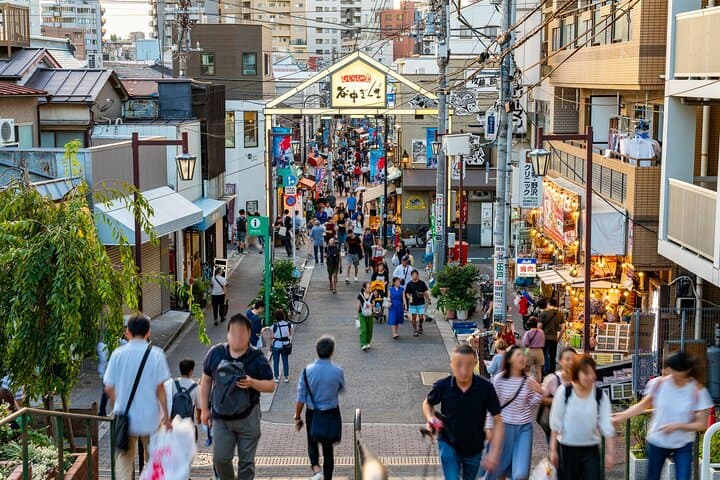 Tokyo: Yanaka Historic Streets Guided Tour & Asakura Museum Visit — photo 1