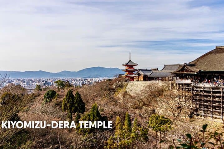 Kyoto tour 12 hours Private Nagoya pick up available — photo 7