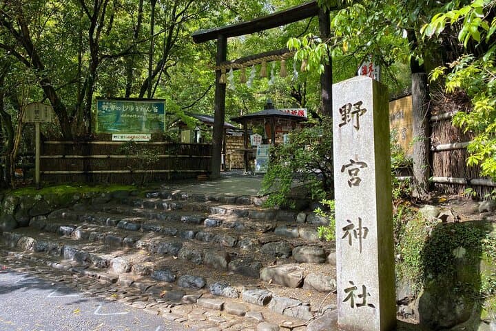 2 Hour Private Tour of Arashiyama Highlights — photo 7