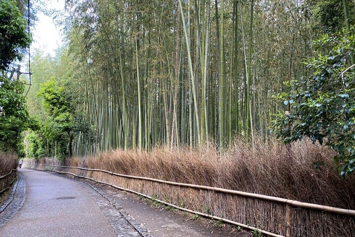 2 Hour Private Tour of Arashiyama Highlights — photo 13