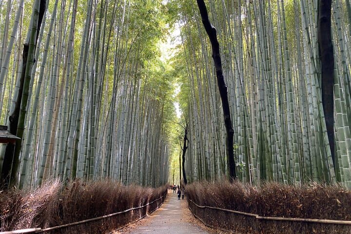 2 Hour Private Tour of Arashiyama Highlights — photo 14