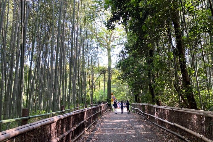 2 Hour Private Tour of Arashiyama Highlights — photo 17